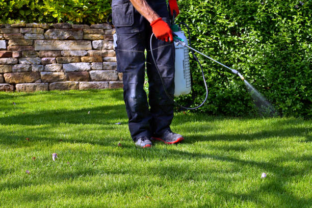 Best Lawn Pest Control  in USA